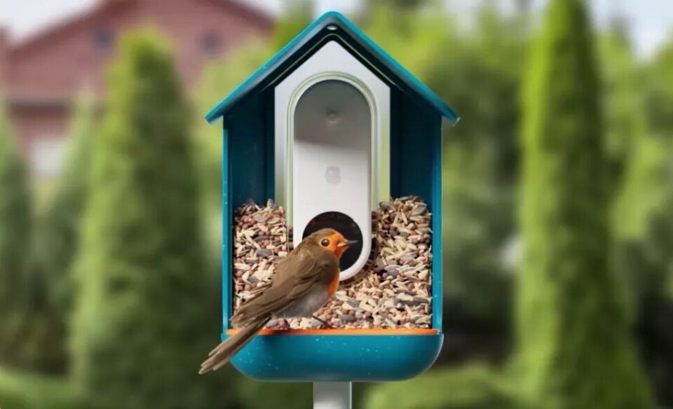 Bird Buddy: Smart fågelmatare som även tar bilder och fångar upp ljud