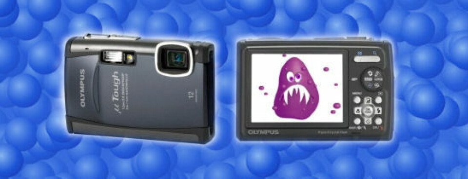Olympuskameror drabbade av virus